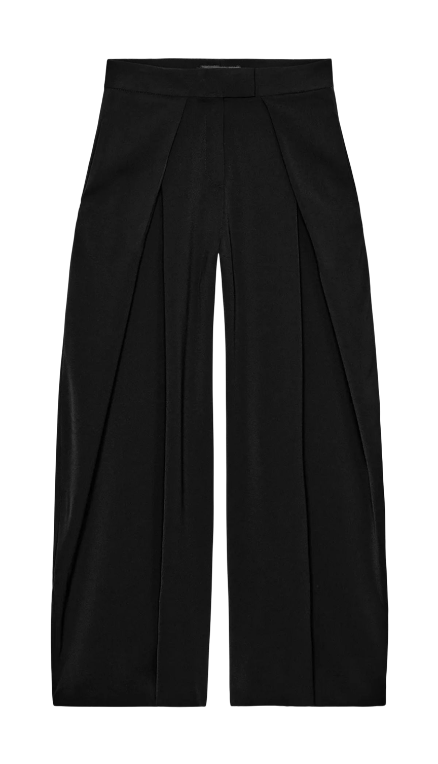 Pleated Pants